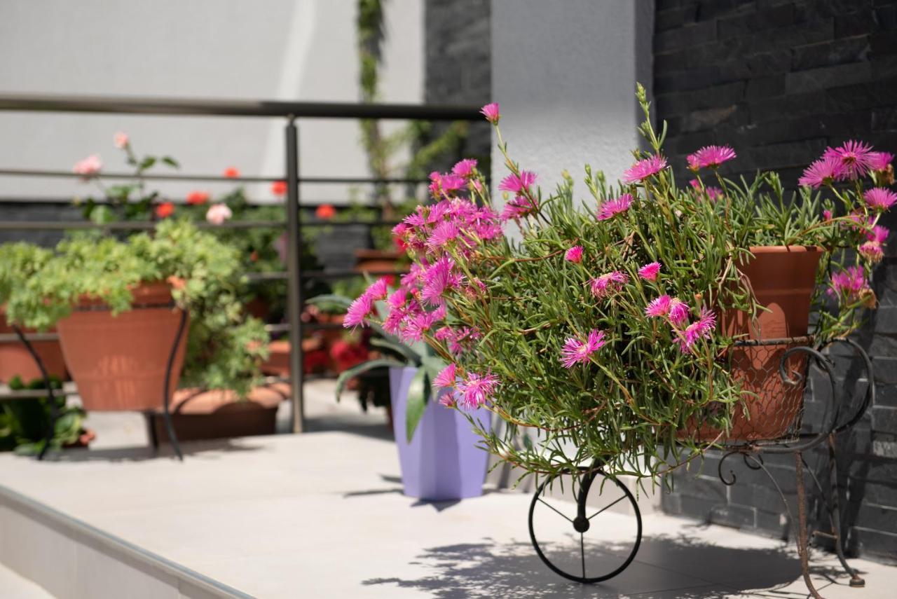 Almare Seaside Studios & Suites - Sarti Sithonia Dış mekan fotoğraf